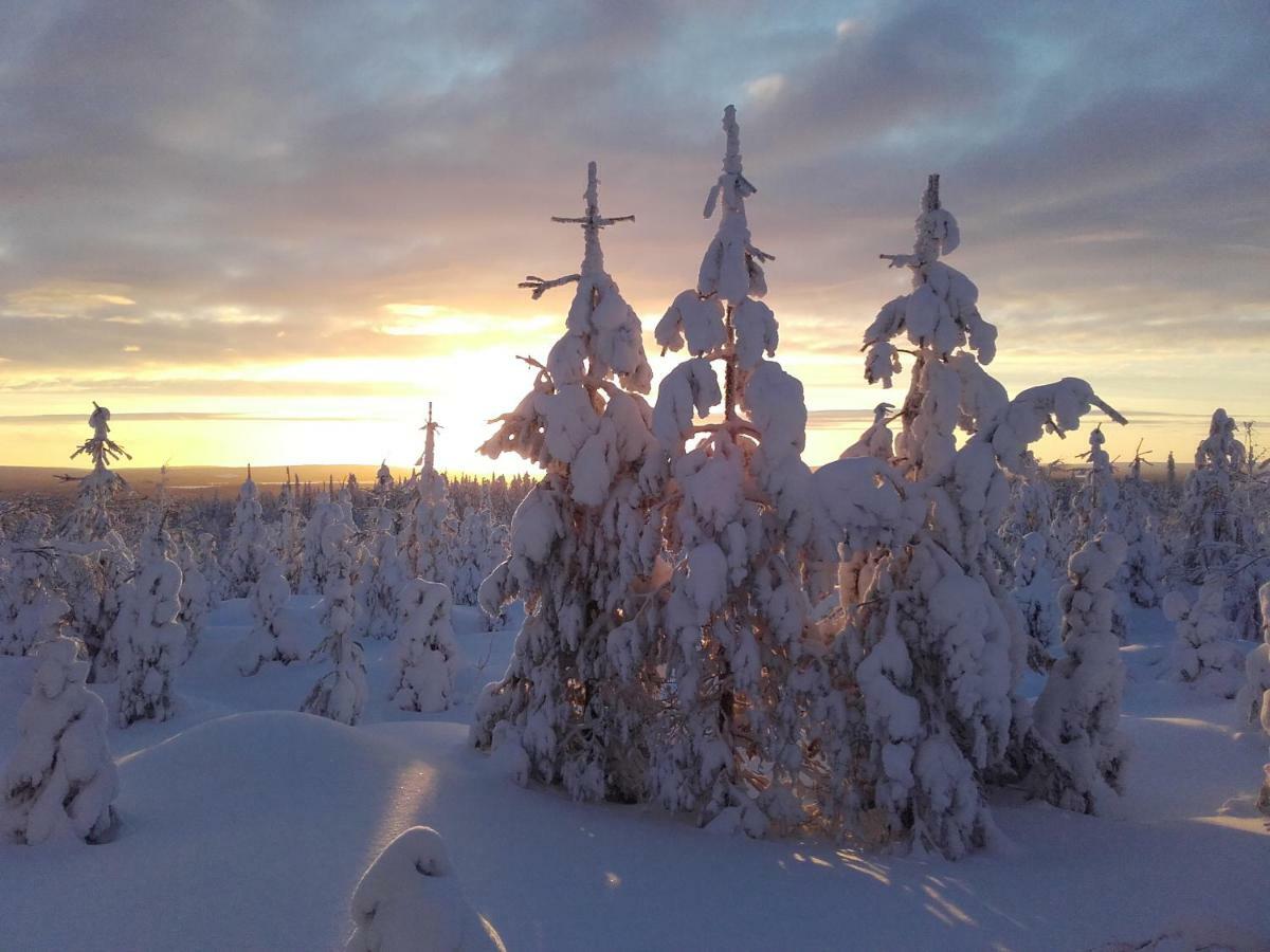 Ollilan Lomamajat Villa Kuusamo Dış mekan fotoğraf
