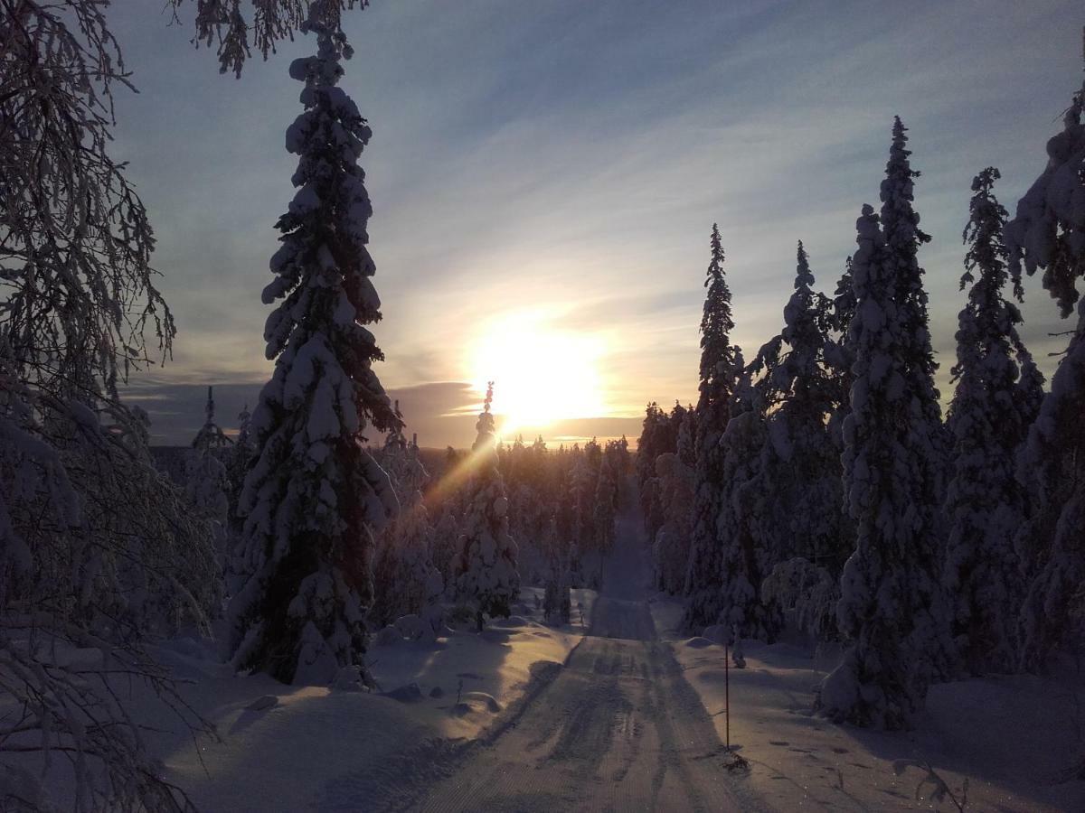 Ollilan Lomamajat Villa Kuusamo Dış mekan fotoğraf